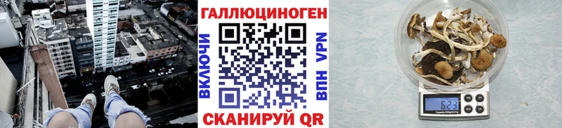 Галлюциногенные грибы мухоморы  где можно купить   omg рабочий сайт  Артём 